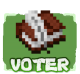 bouton vote